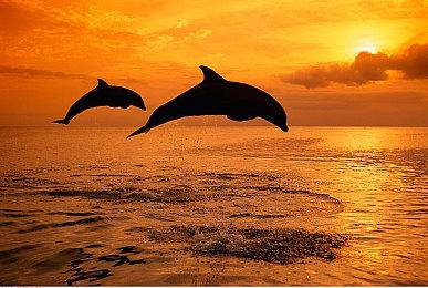 生存游戏《荒野枪巫》预告片 2023年内正式发售