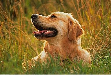 《命运2》将于8月23日举行专场发布会